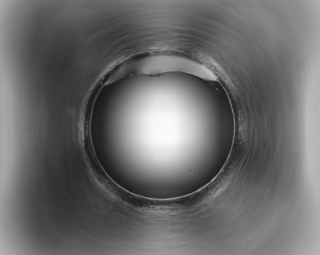 X0000093450530200710261103