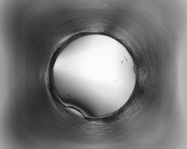 X0000093450536200710261103