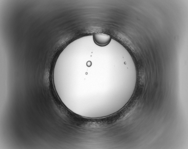 X0000093450538200710261103