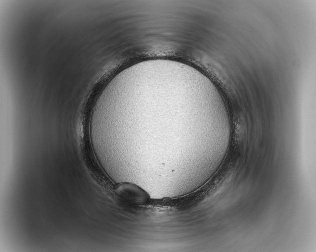 X0000093450539200710261103