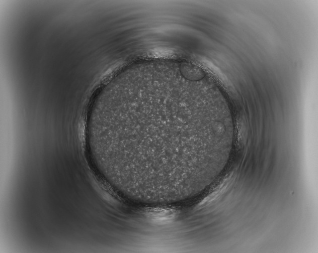 X0000093450542200710261103