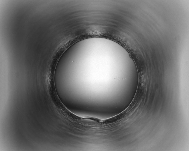 X0000093450544200710261103