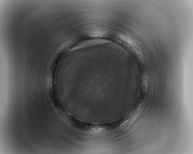 X0000093450547200710261103