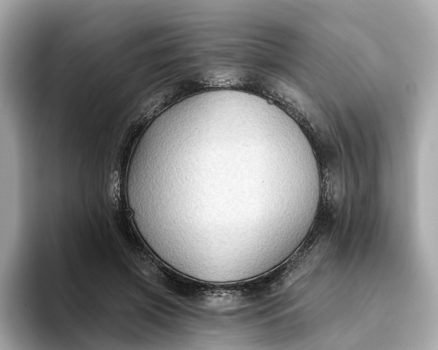 X0000093450549200710261103