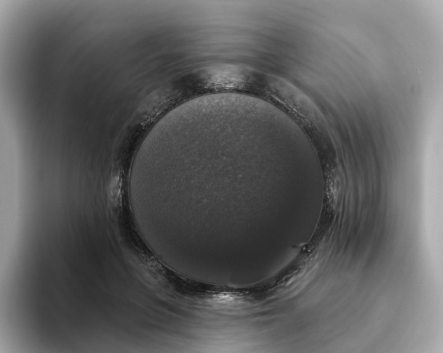 X0000093450551200710261103