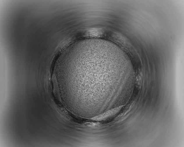 X0000093450552200710261103