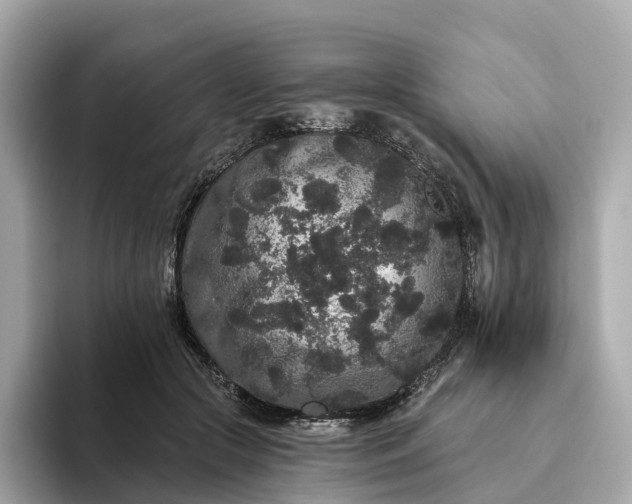 X0000093450553200710261103