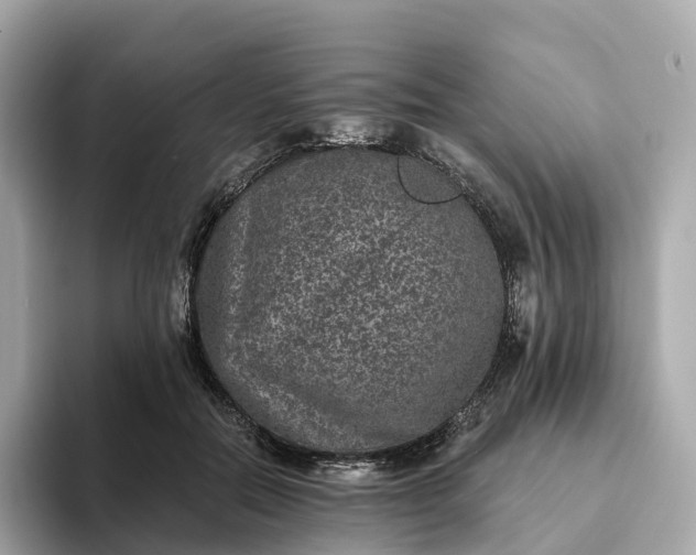 X0000093450554200710261103