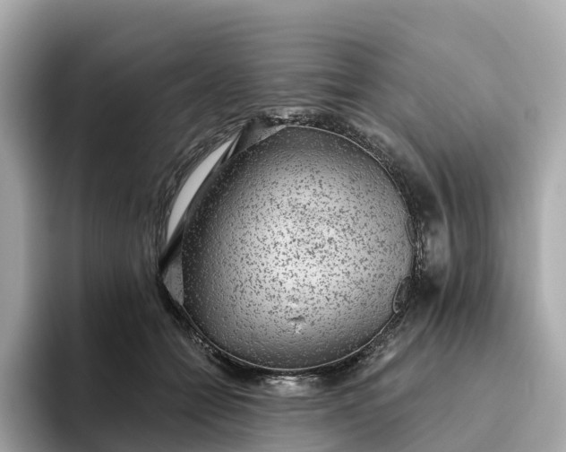 X0000093450558200710261103