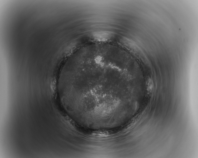 X0000093450559200710261103