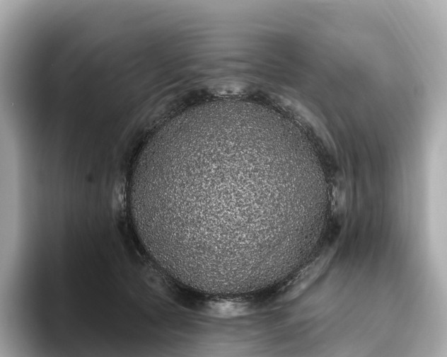 X0000093450561200710261103