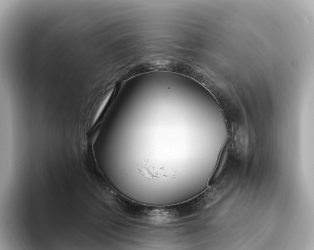 X0000093450562200710261103