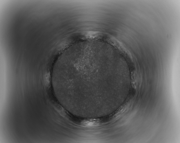 X0000093450563200710261103