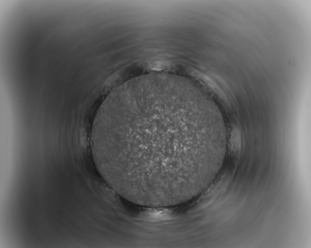 X0000093450569200710261103