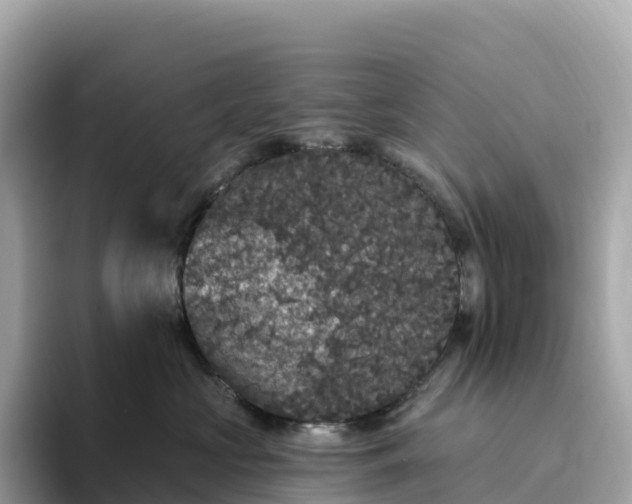 X0000093450573200710261103