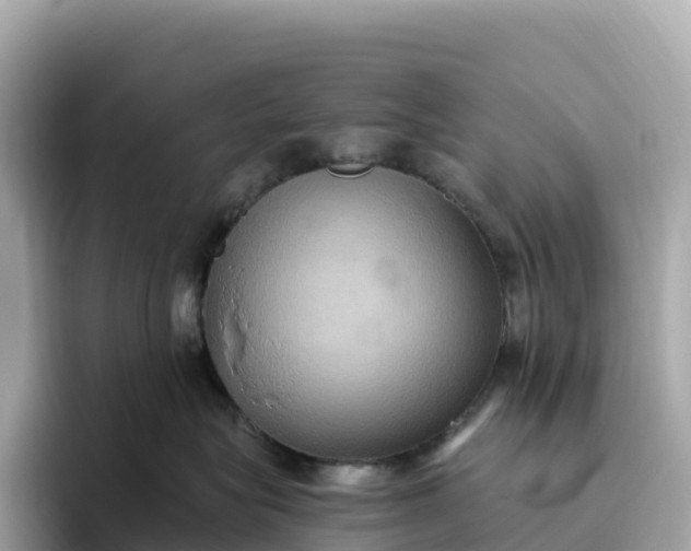 X0000093450575200710261103