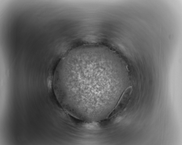 X0000093450576200710261103