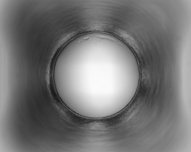 X0000093450578200710261103