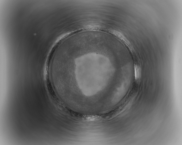 X0000093450579200710261103