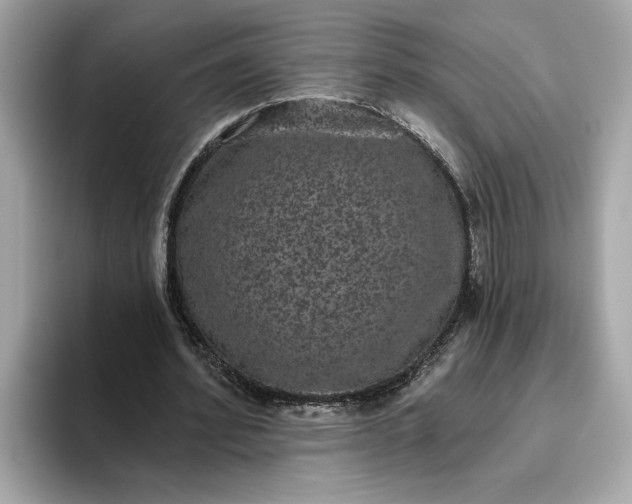 X0000093450580200710261103