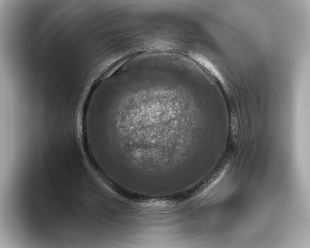 X0000093450581200710261103