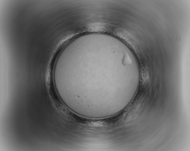 X0000093450583200710261103