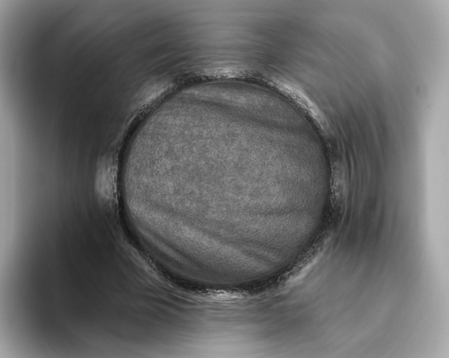 X0000093450585200710261103