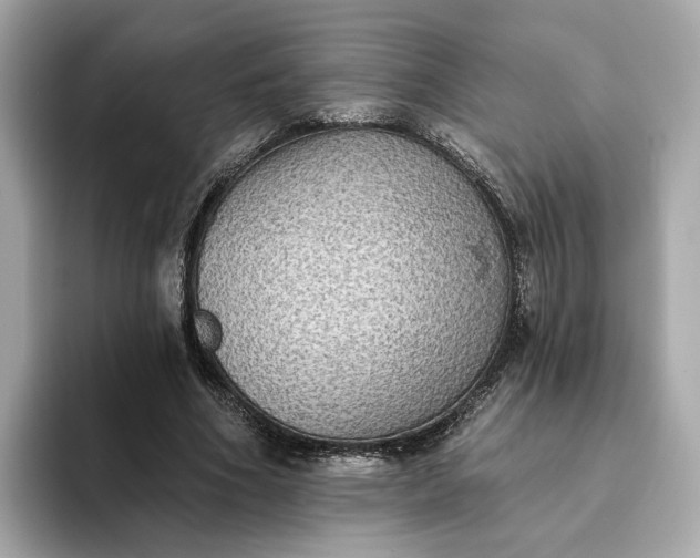 X0000093450586200710261103