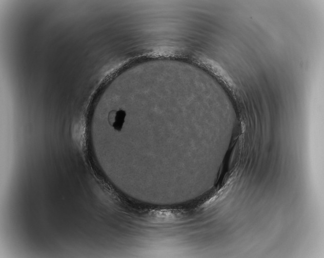 X0000093450588200710261103