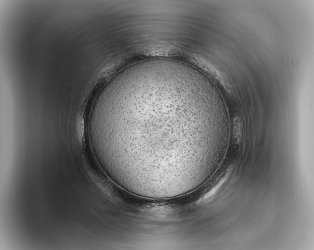 X0000093450589200710261103