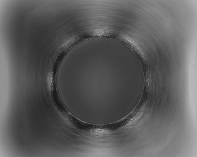 X0000093450590200710261103