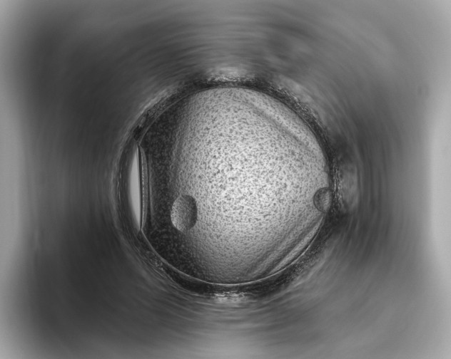 X0000093450591200710261103