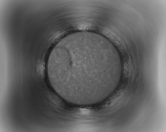 X0000093450592200710261103