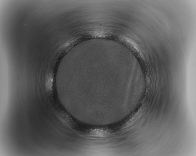 X0000093450596200710261103