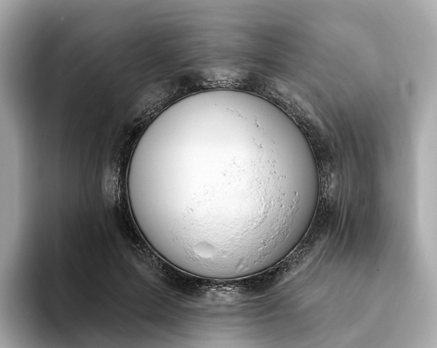 X0000093450599200710261102