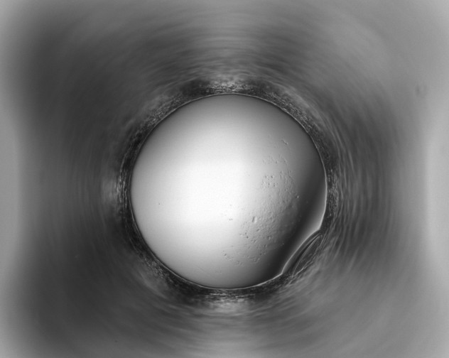 X0000093450601200710261102