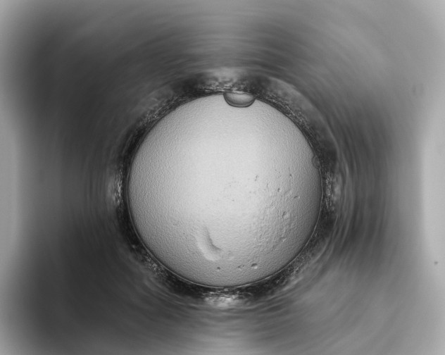 X0000093450602200710261102