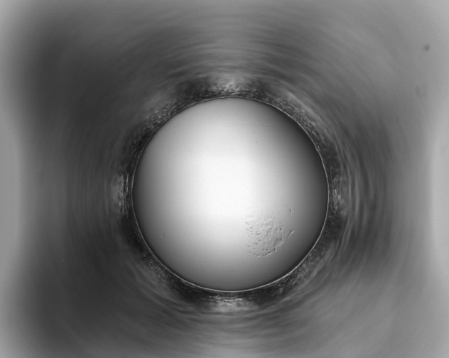 X0000093450605200710261102