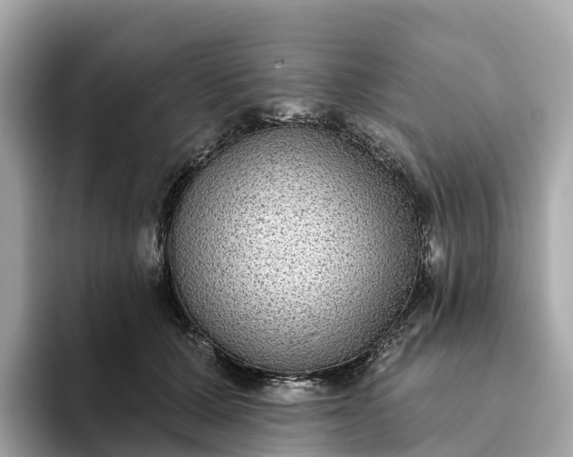 X0000093450607200710261102