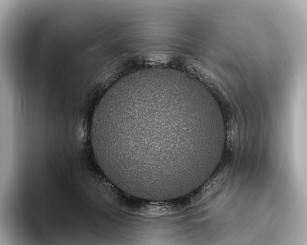 X0000093450608200710261102