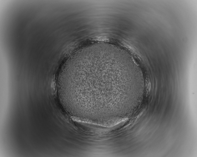 X0000093450609200710261102