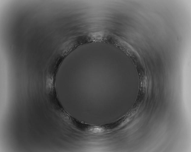 X0000093450610200710261102