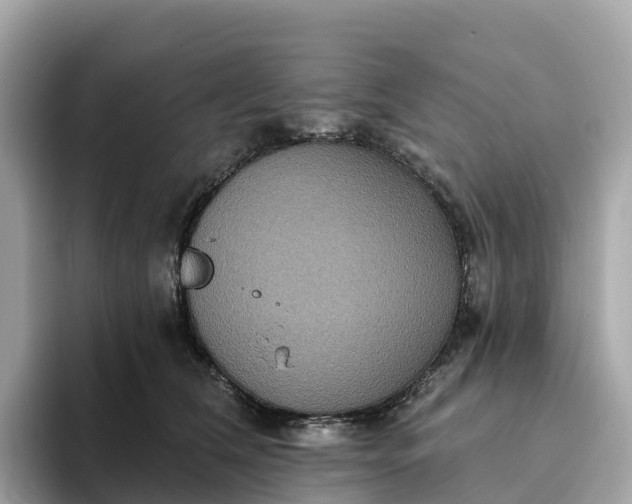 X0000093450612200710261102