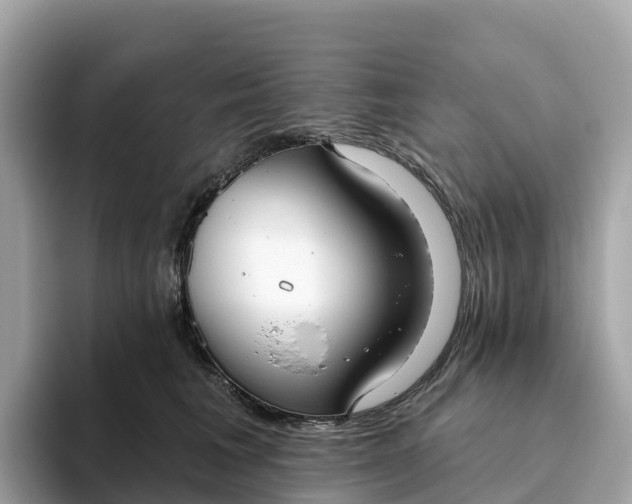 X0000093450613200710261102