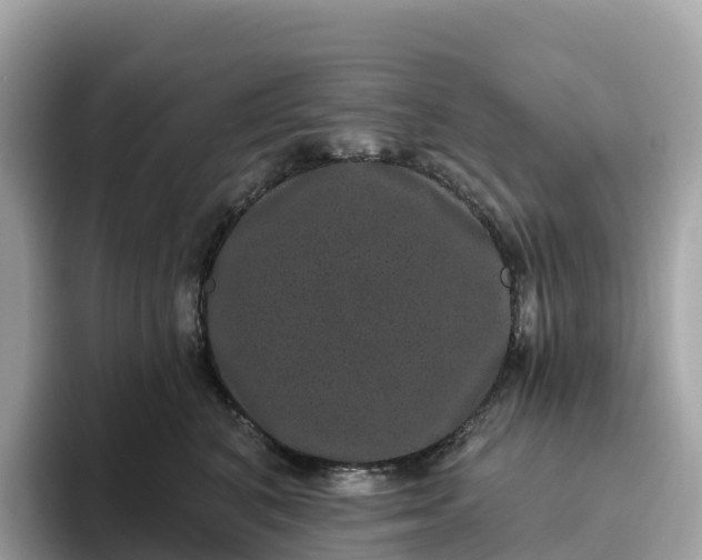 X0000093450616200710261102