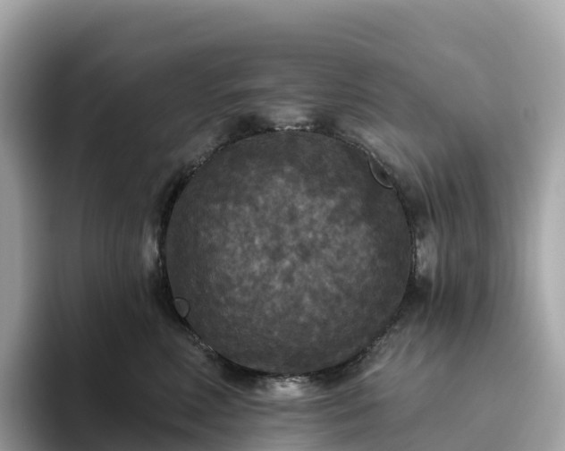 X0000093450618200710261102