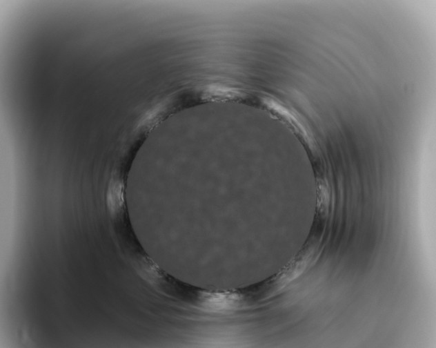 X0000093450621200710261102