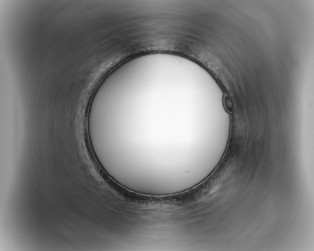 X0000093450625200710261102