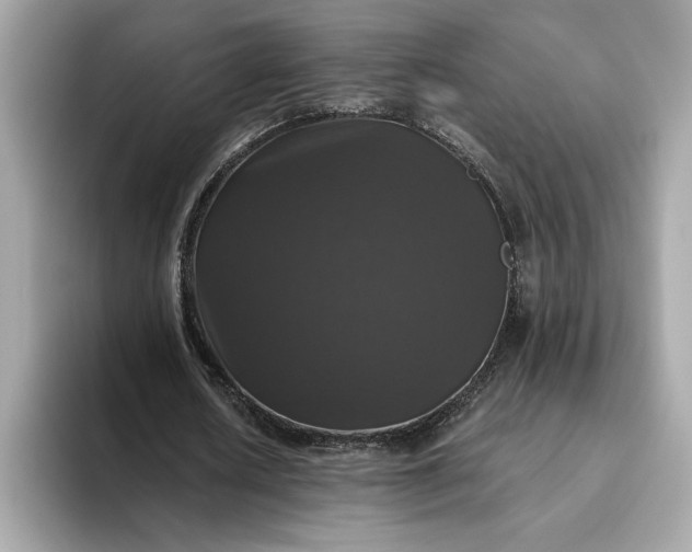 X0000093450626200710261102