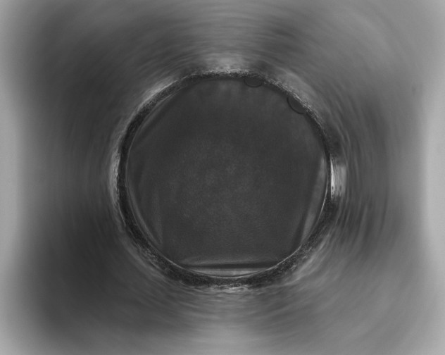 X0000093450627200710261102